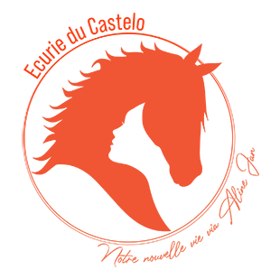 Logo ecurie du castelo aline jan